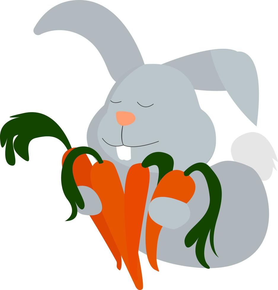 Bunny with carrots, illustration, vector on white background.