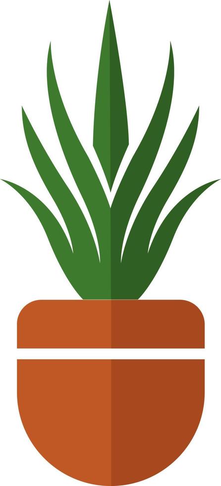 Aloe Vera in orange pot, illustration, vector on white background.