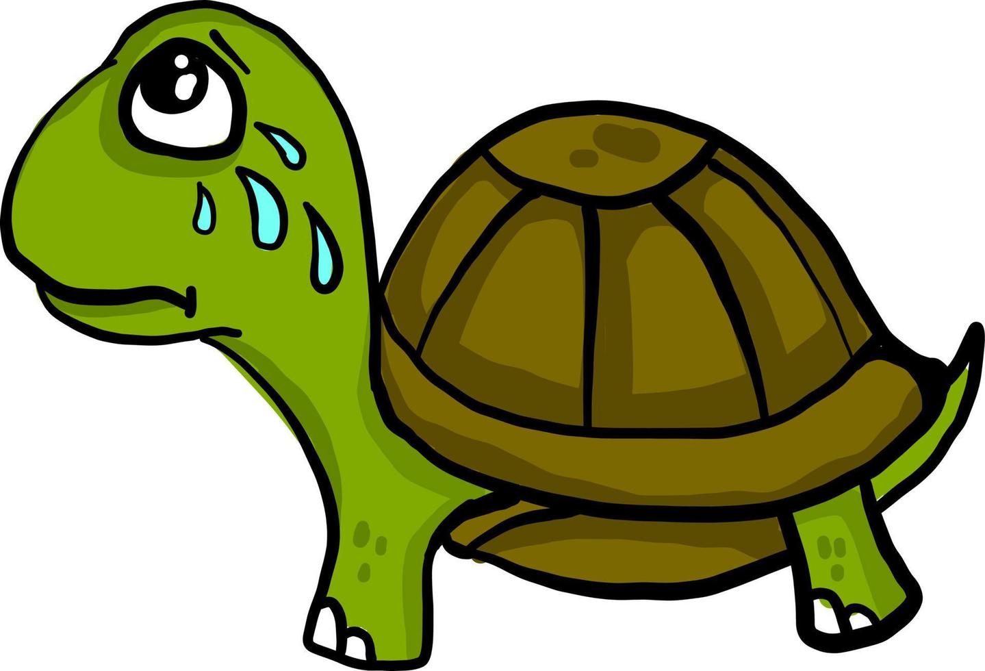 tortuga verde llorando, ilustración, vector sobre fondo blanco.