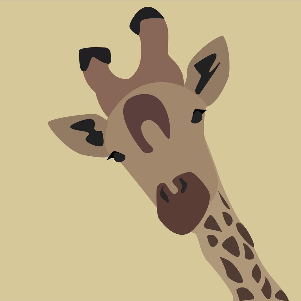 Giraffes head, illustration, vector on white background.