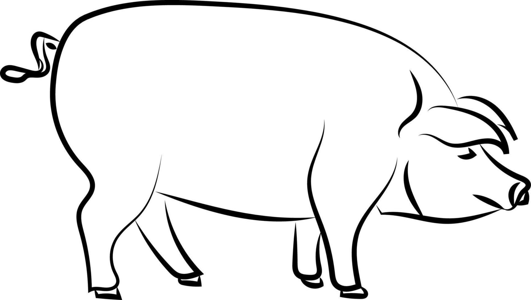 Big pig standing, illustration, vector on white background. 13825129