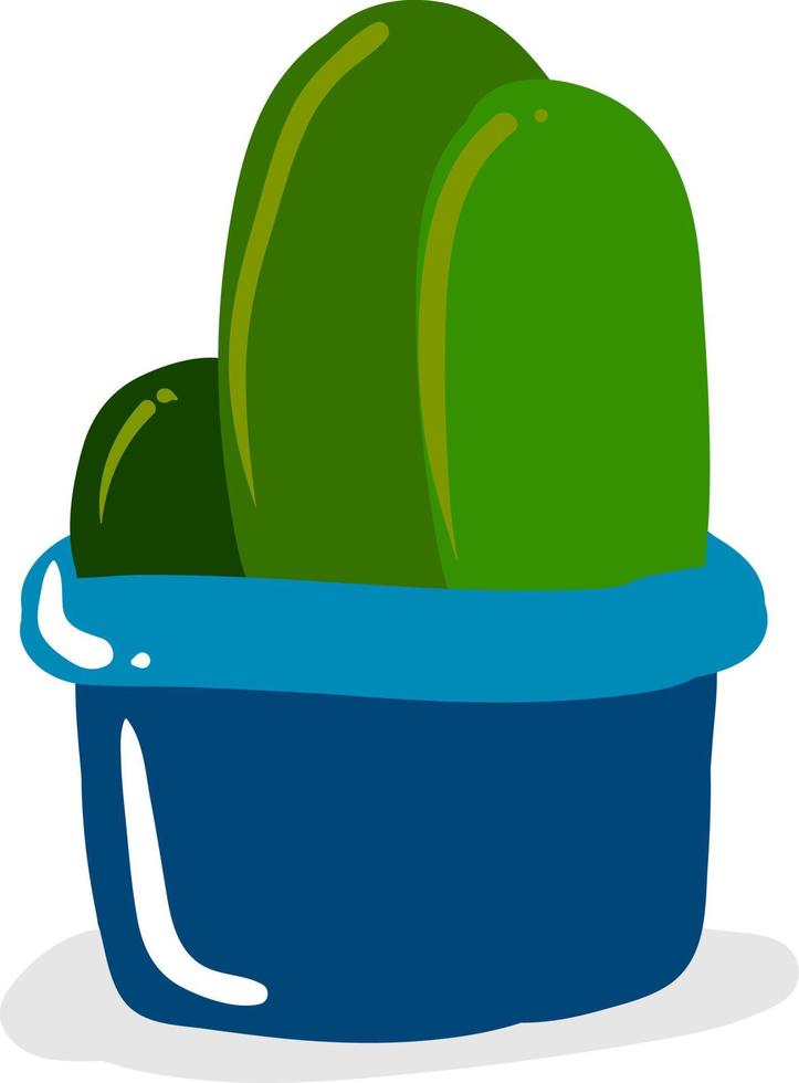Cactuses in pot, illustration, vector on white background.