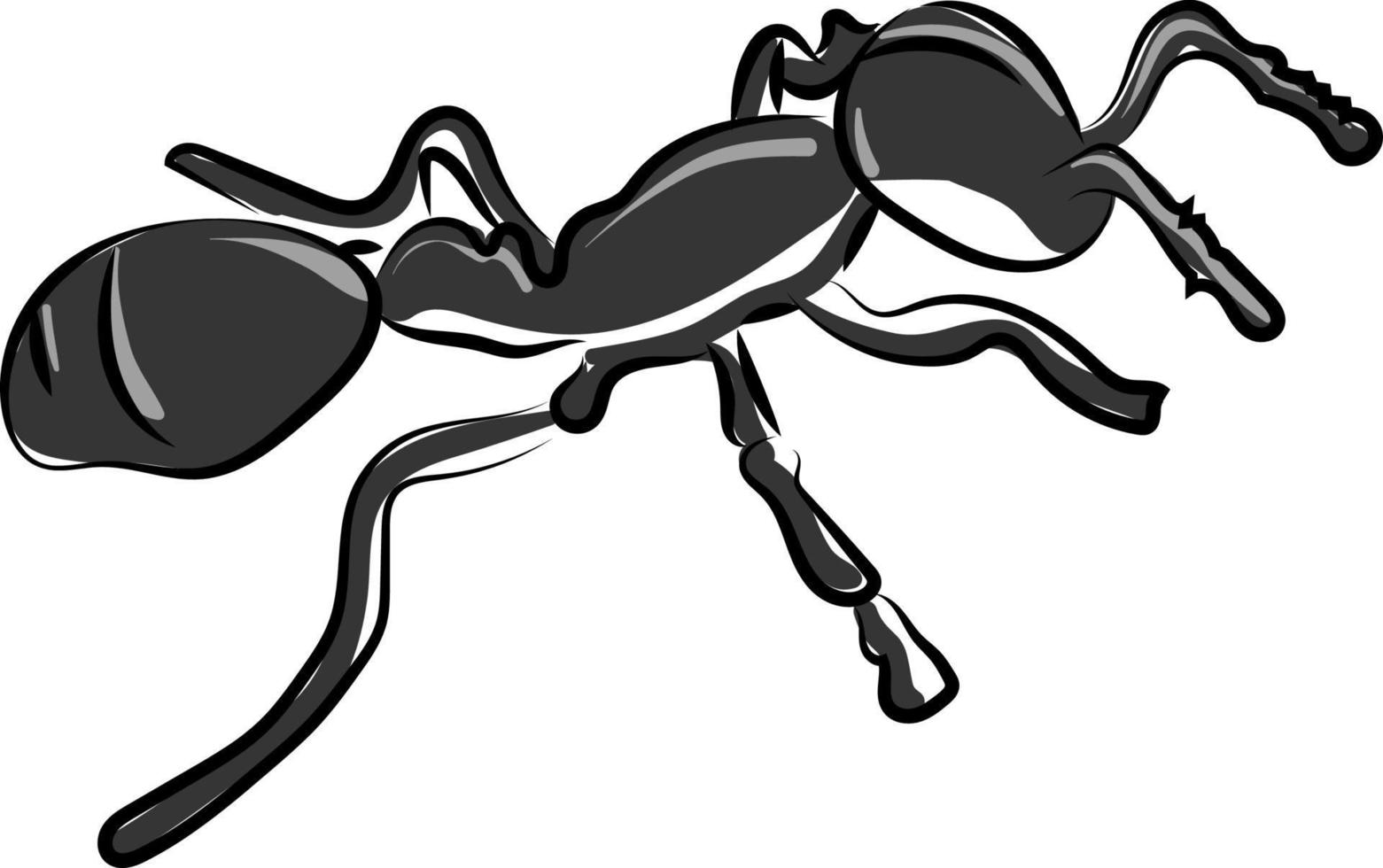 Black little ant, illustration, vector on white background.