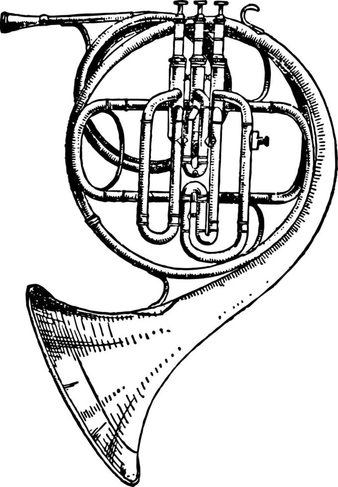 French Horn, vintage illustration. vector