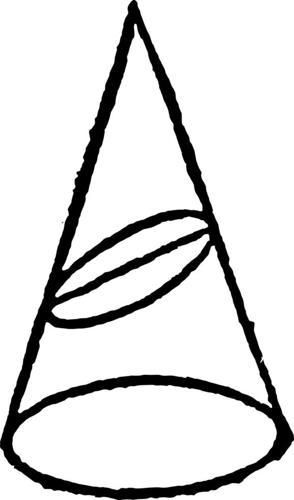 Ellipse
 vintage illustration. vector