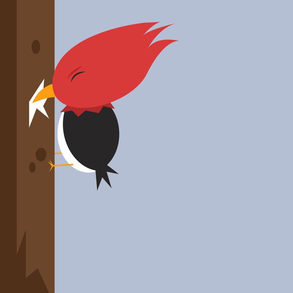 Woodpecker, illustration, vector on white background.