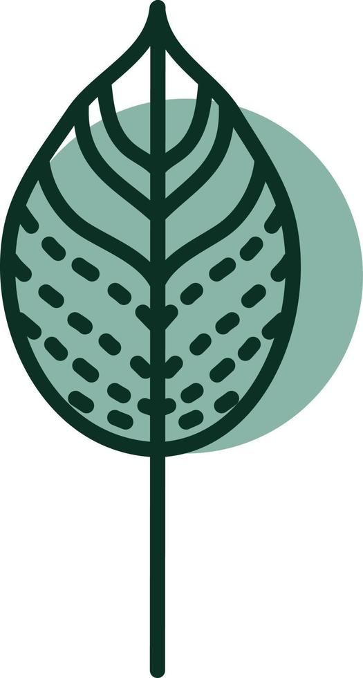 hoja de otoño verde, ilustración, vector, sobre un fondo blanco. vector