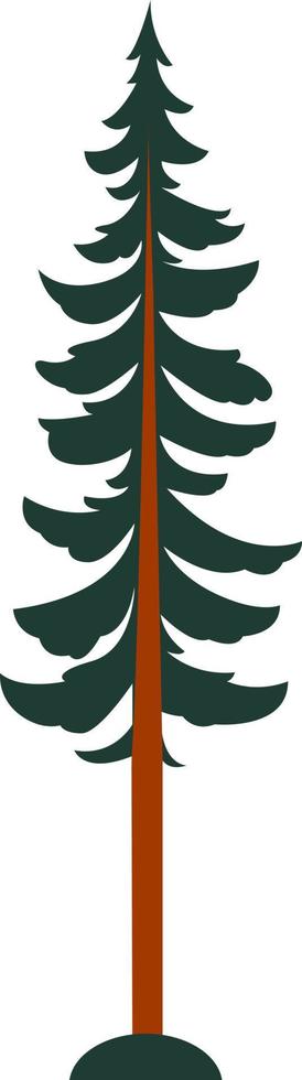 Tall pine, illustration, vector on white background.