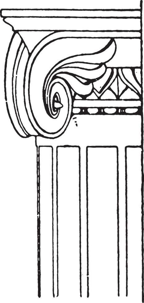capital jónico antiguo, pergamino, grabado antiguo. vector