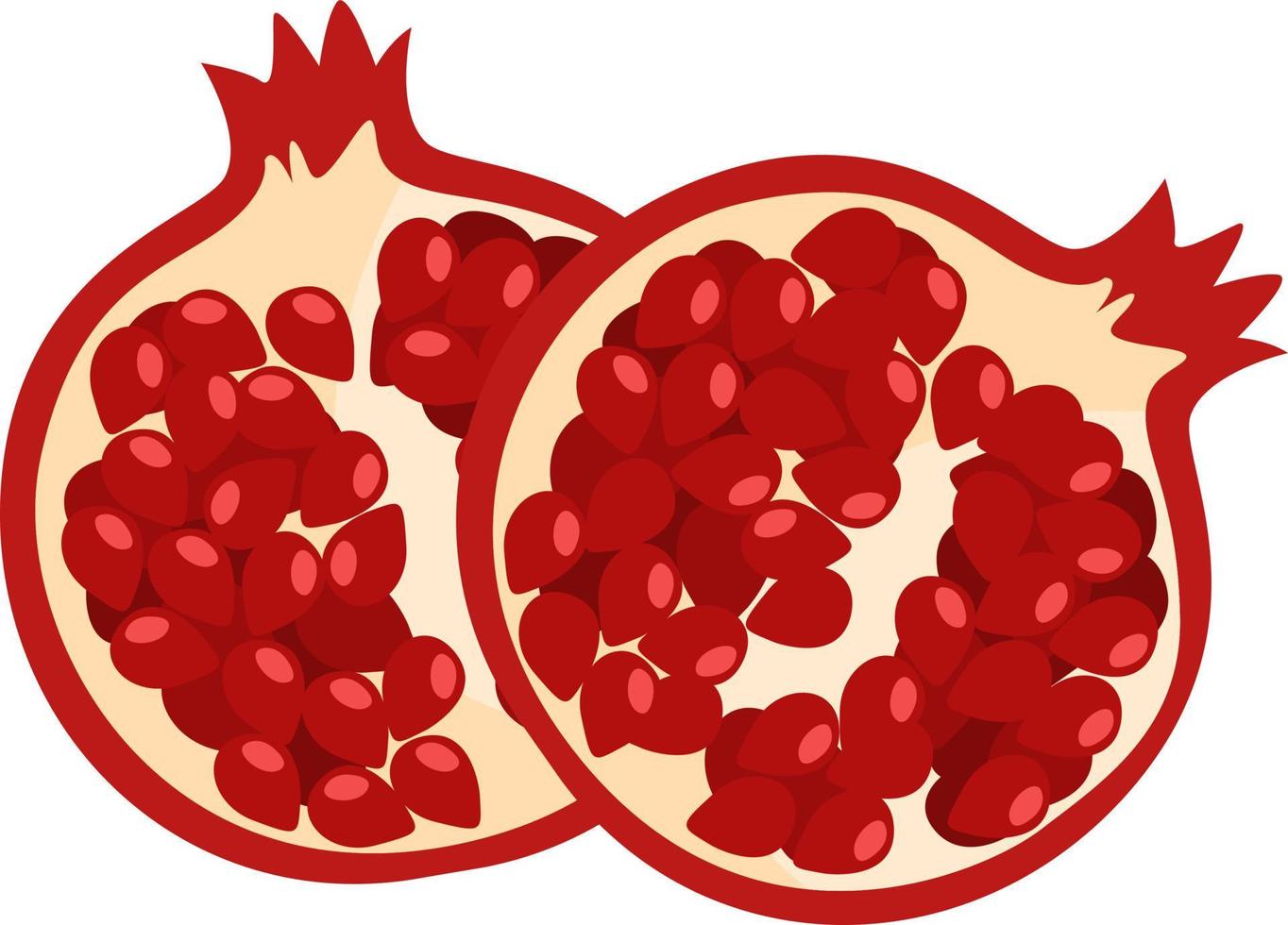 Fresh pomegranate ,illustration,vector on white background vector