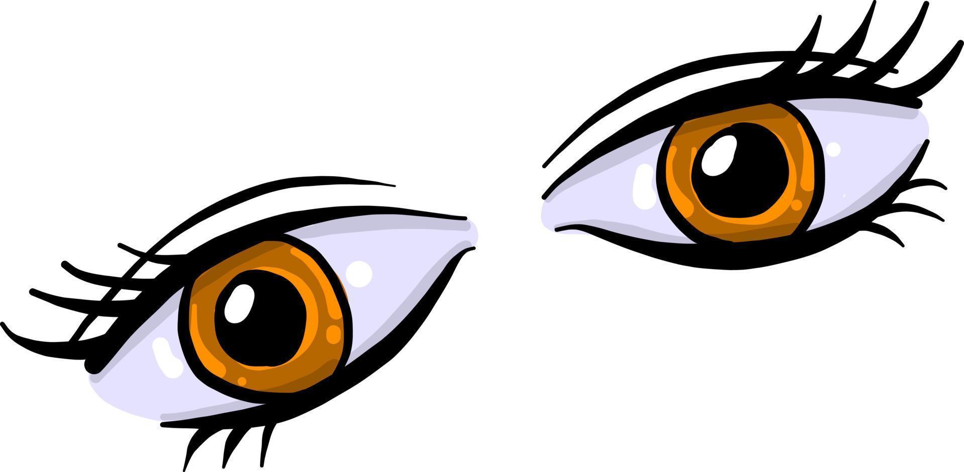 Brown eyes , illustration, vector on white background