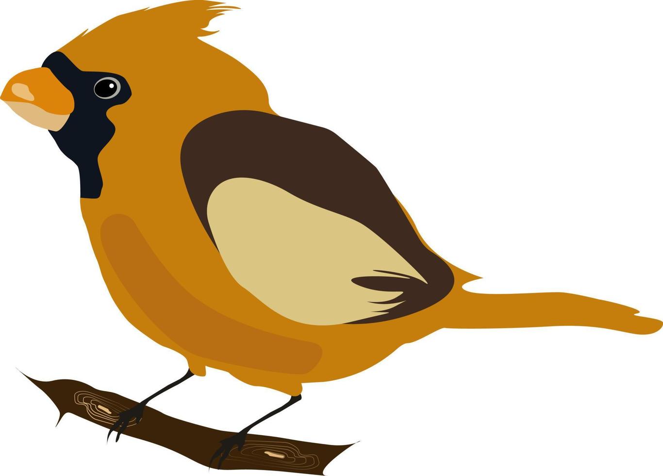 pájaro amarillo, ilustración, vector sobre fondo blanco.