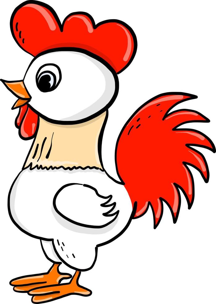 gallo, ilustración, vector sobre fondo blanco