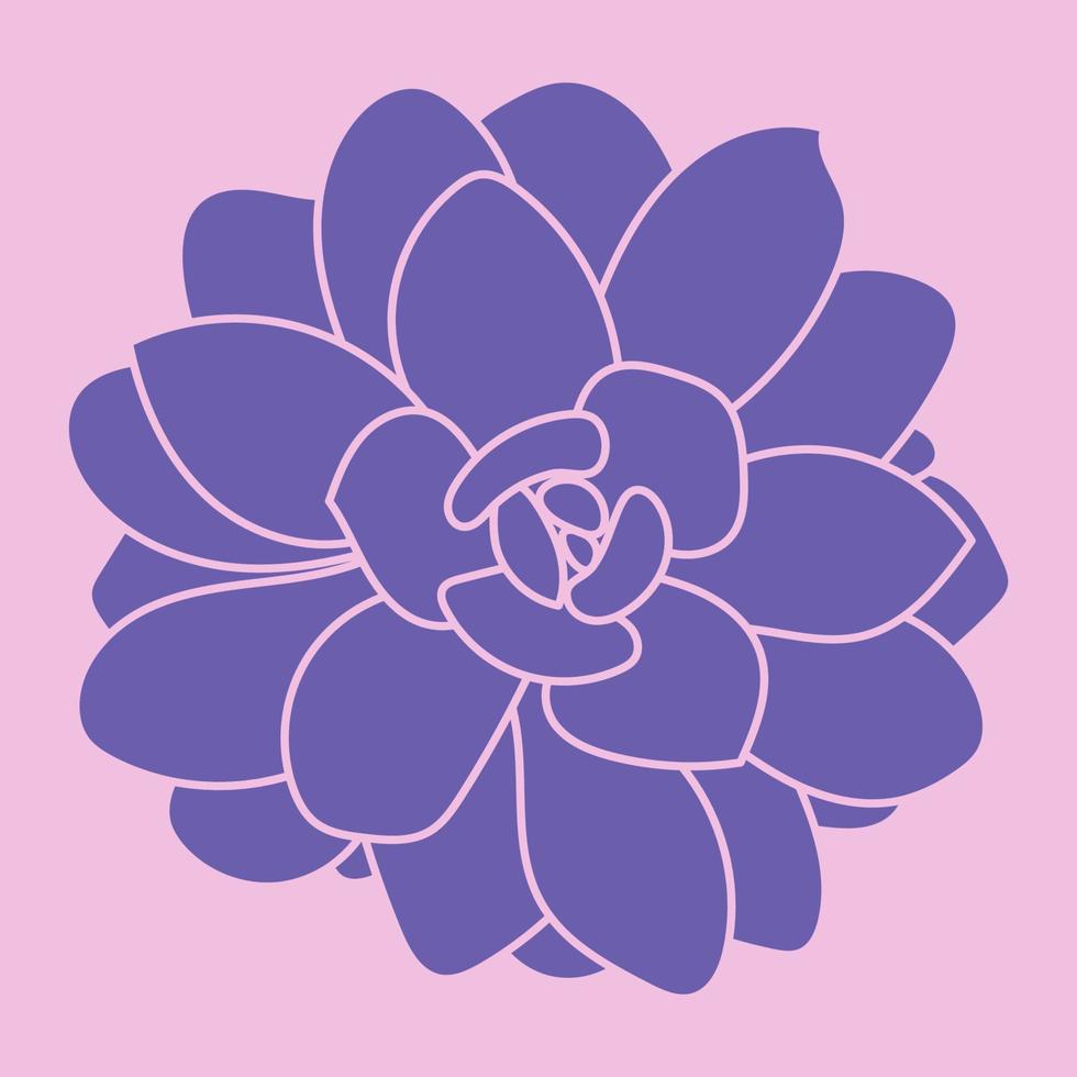 Silhouette of succulent. Desert flower sketch. Outline drawing plant. Succulent doodle style. Pattern logo. vector