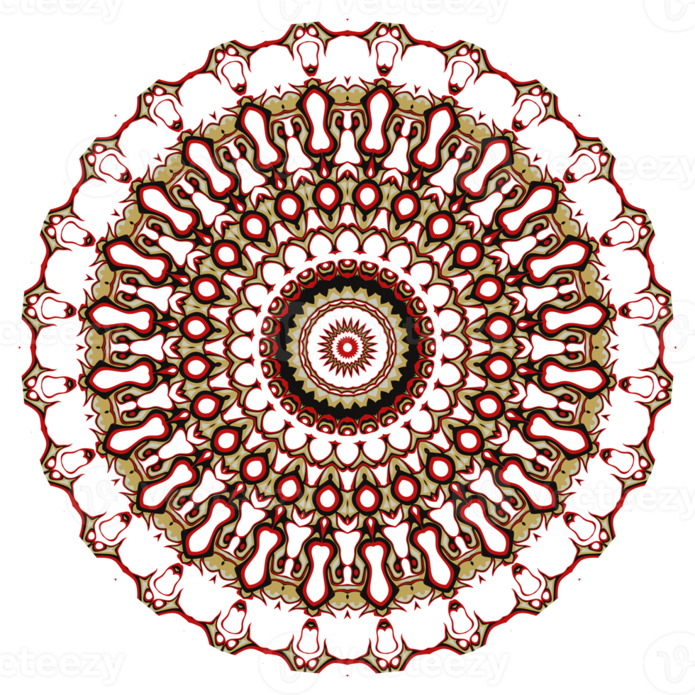 Flower mandala pattern ornament. png