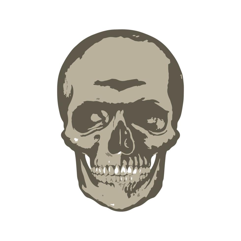 skull head sketch vector design