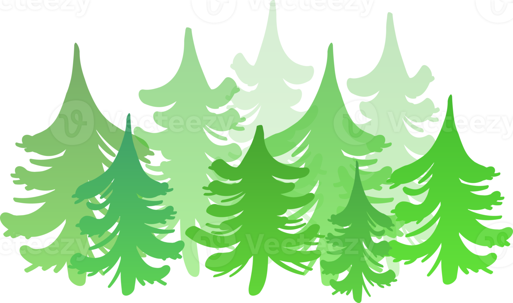 Silhouettes of spruce and pine. Image of coniferous trees on transparent background. png