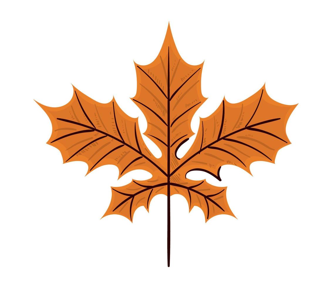 dry leaf autumn vector
