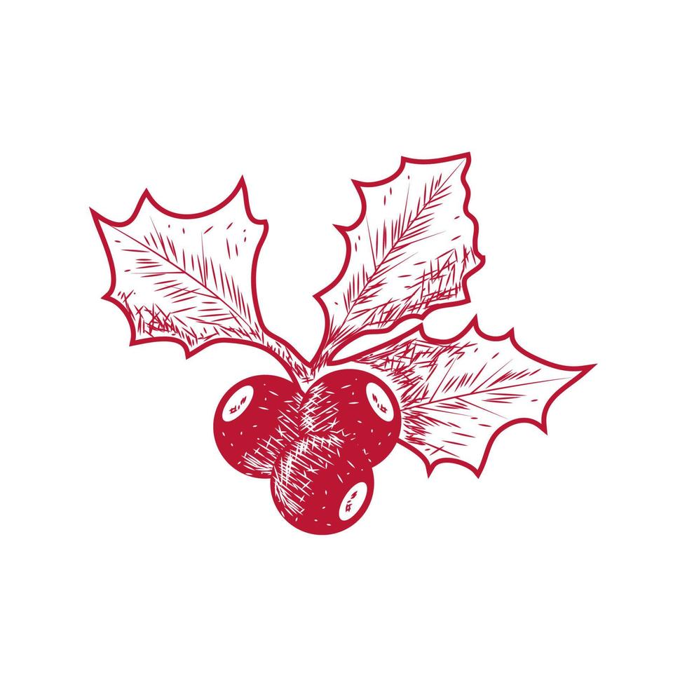 holly berry christmas vector