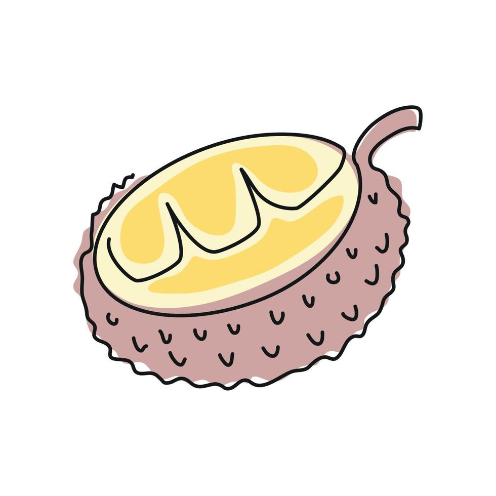 lychee fruit line drawing vector