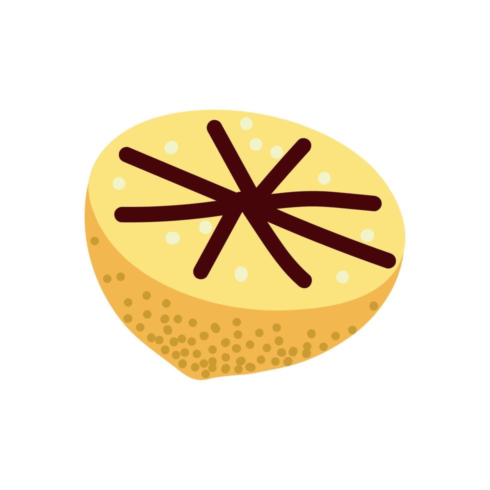 slice lemon icon vector