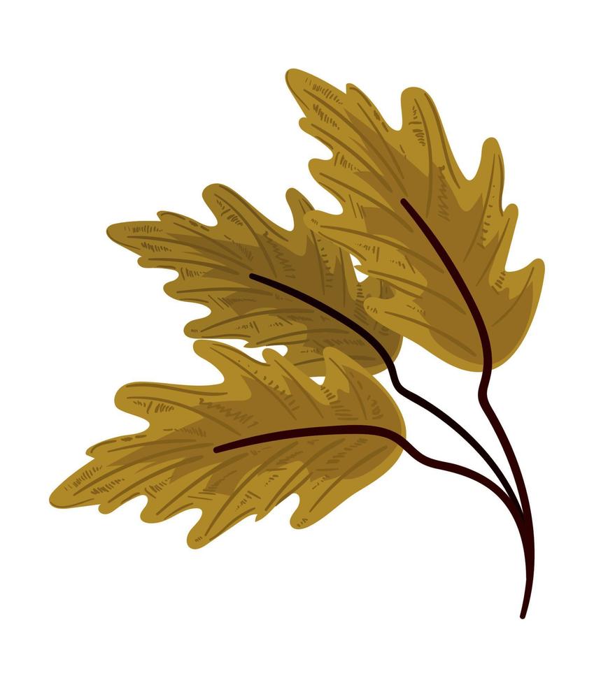 branch foliage icon vector