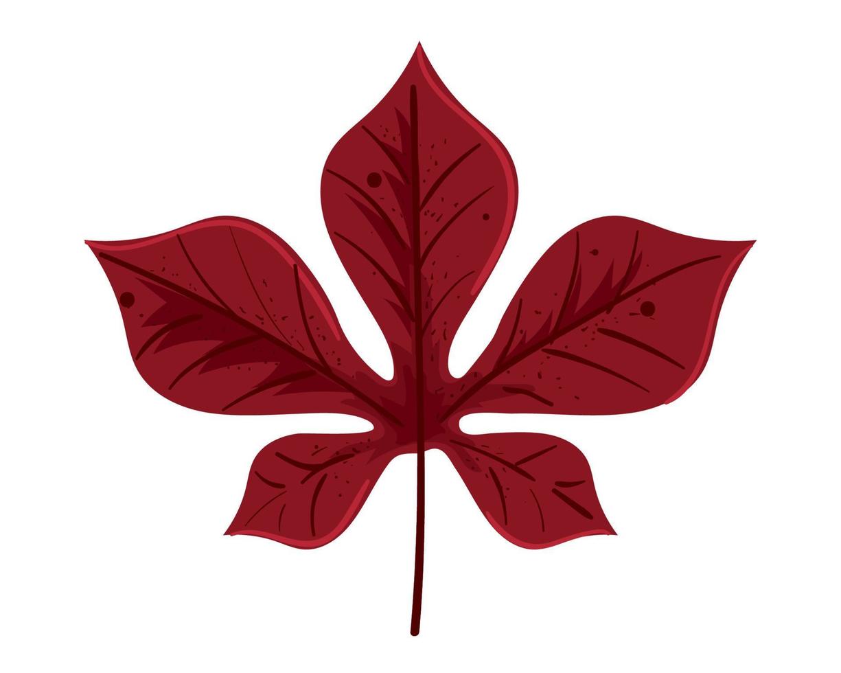 leaf foliage autumn vector