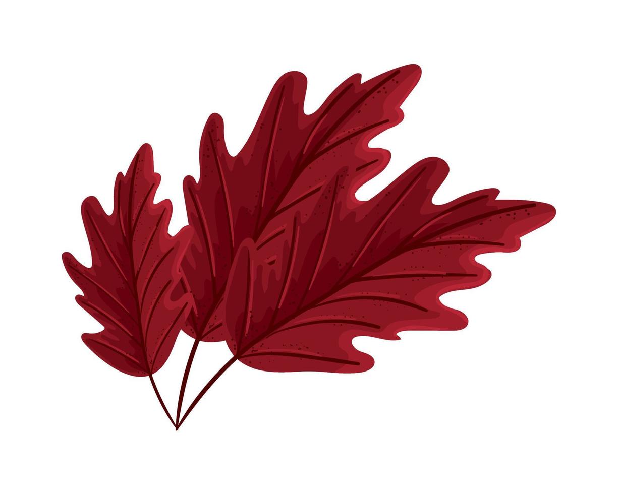 dry leaves icon vector