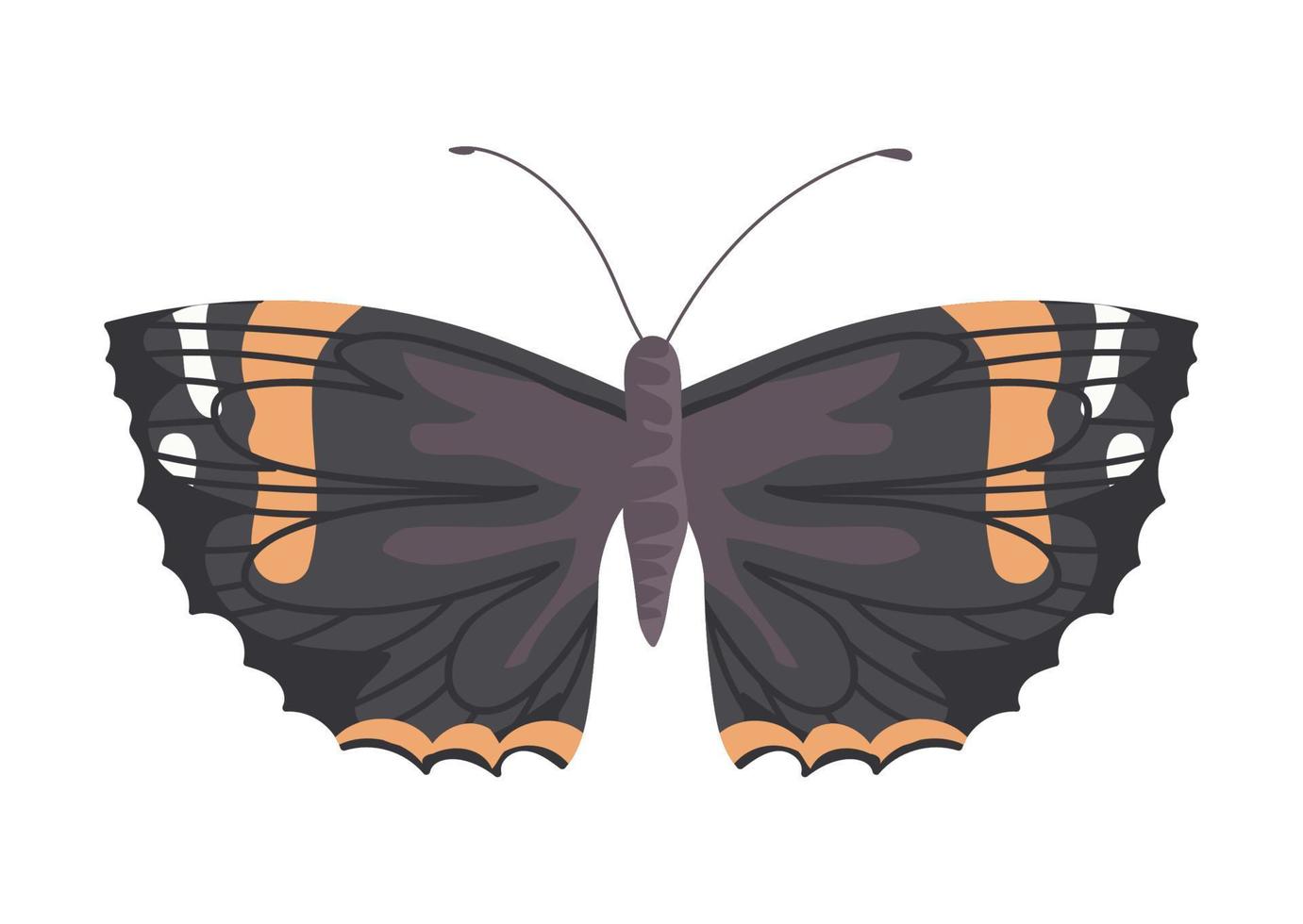 Flat Butterfly on white background vector