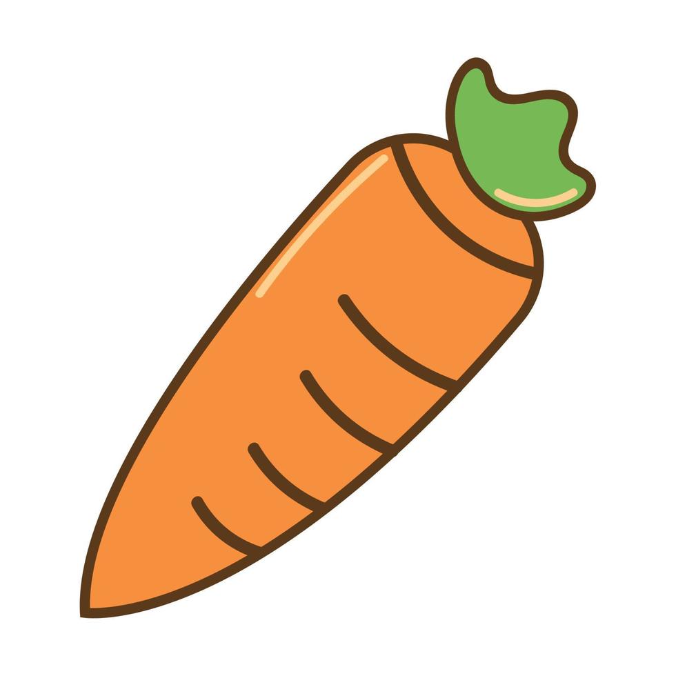 carrot vegetable fresh vector