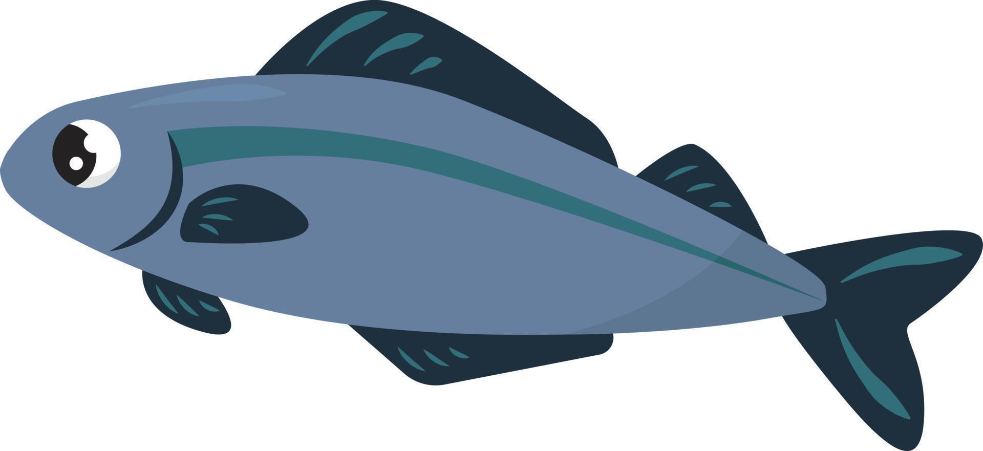 pescado azul, ilustración, vector sobre fondo blanco.