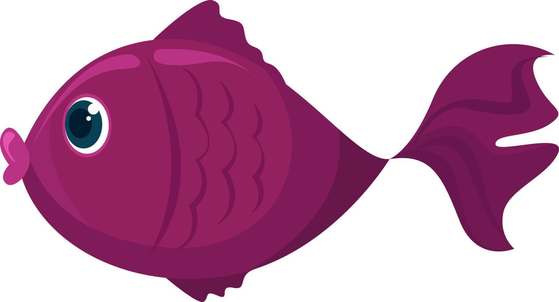 Purple fish, illustration, vector on white background