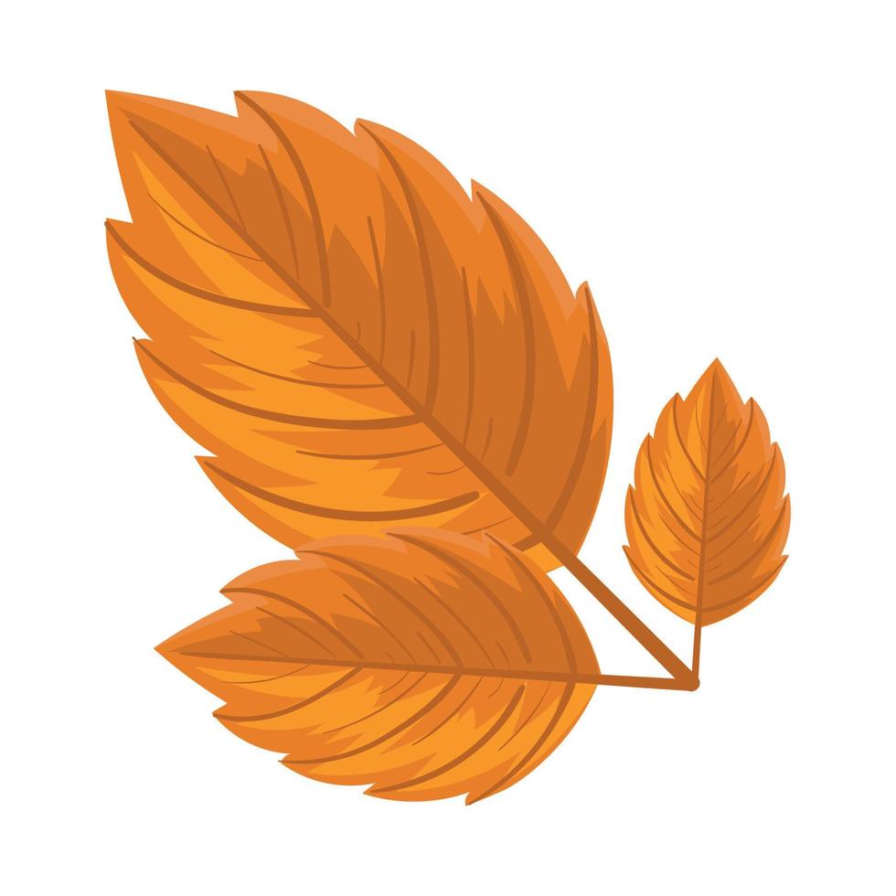 icono de hoja de otoño vector