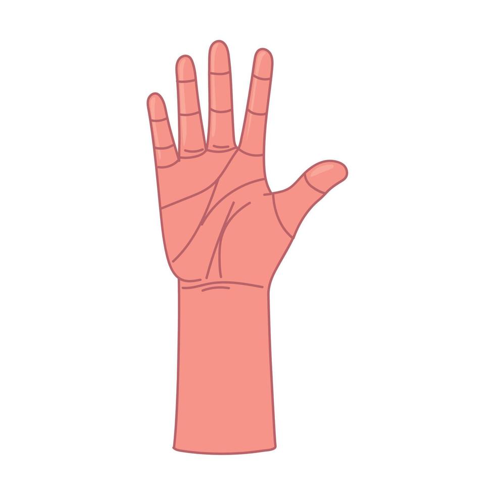 raised open hand vector