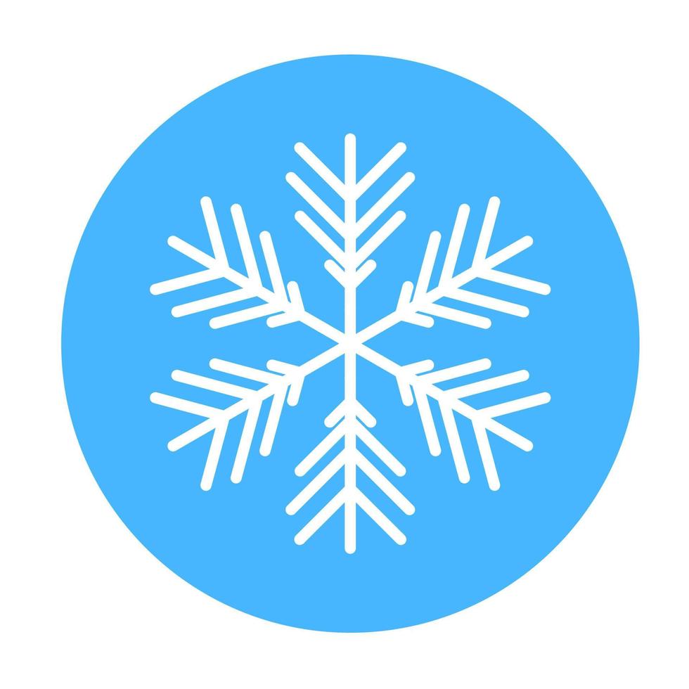 Vector  winter snowflake icon. illustration for web