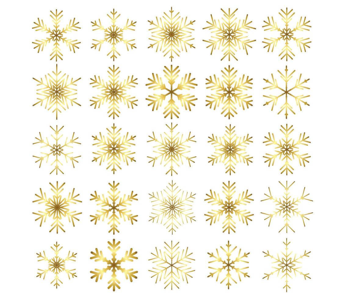 Snowflake vector icon background set