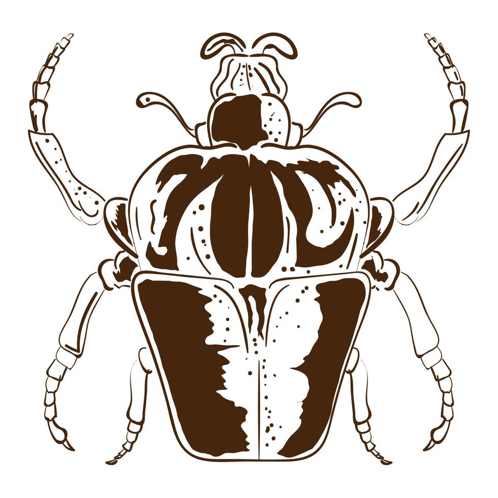 beetle bug icon vector