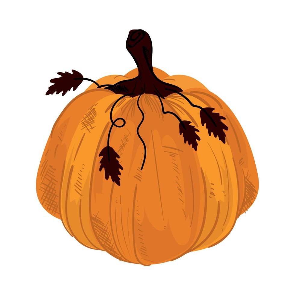 icono de cosecha de calabaza vector