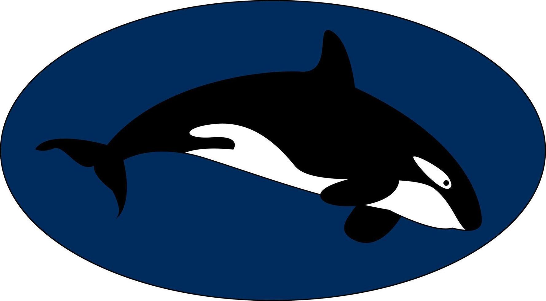 Killer whale underwater, illustration, vector on white background.