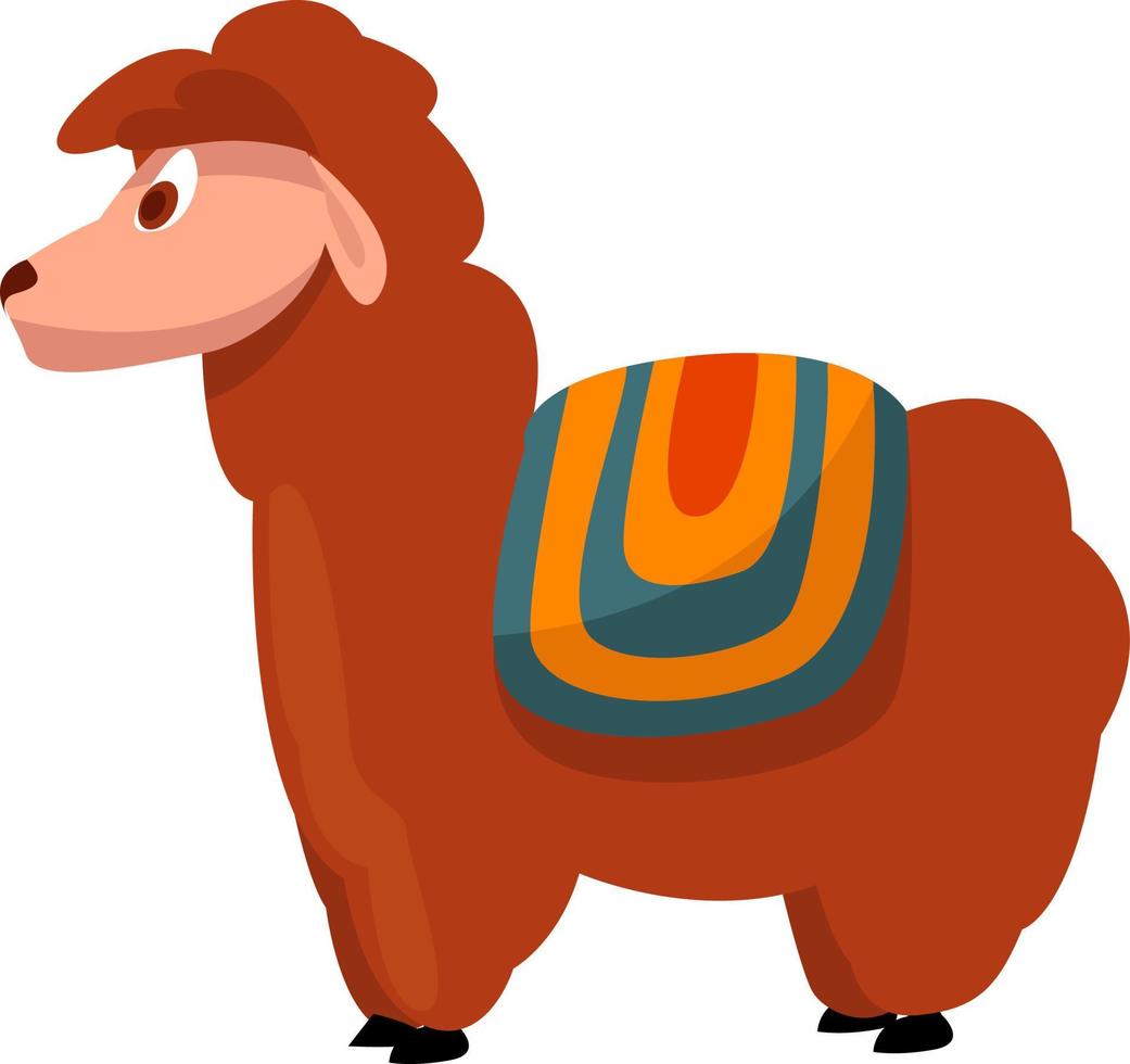 Short llama, illustration, vector on white background