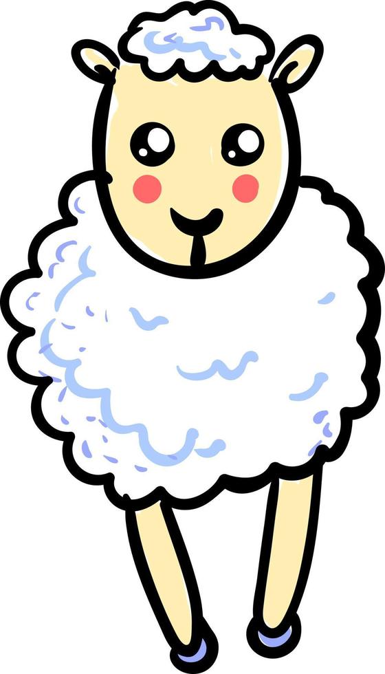 Cute sheep, illustration, vector on white background.