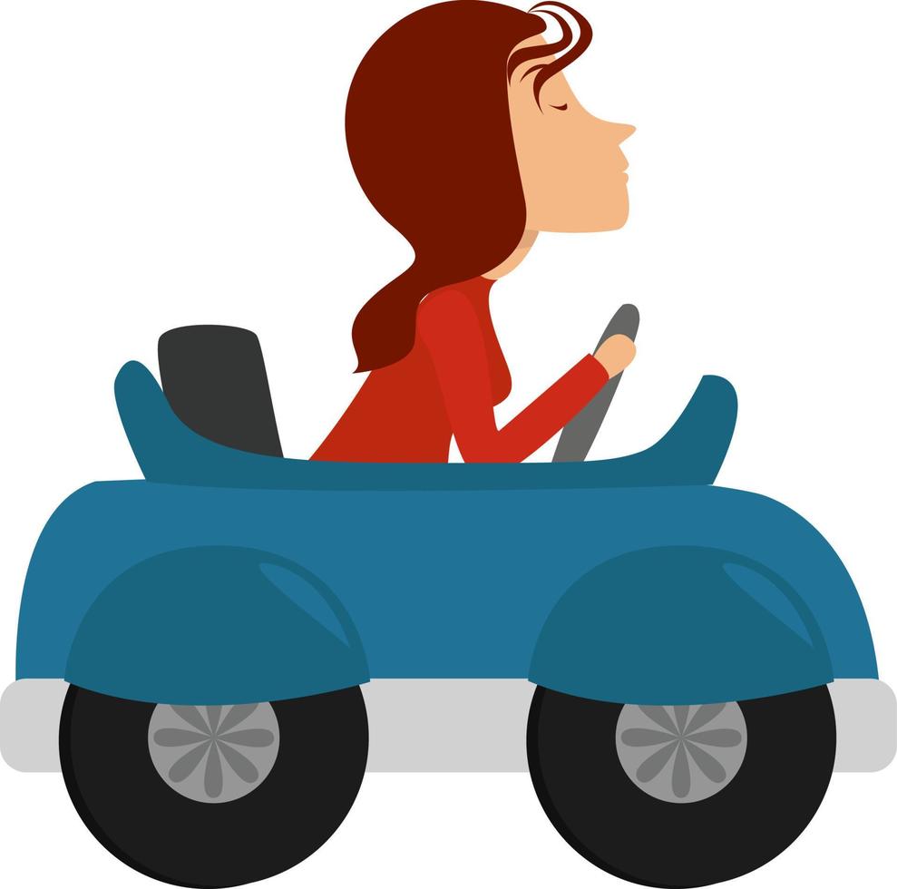 Driving a car, illustration, vector on white background.