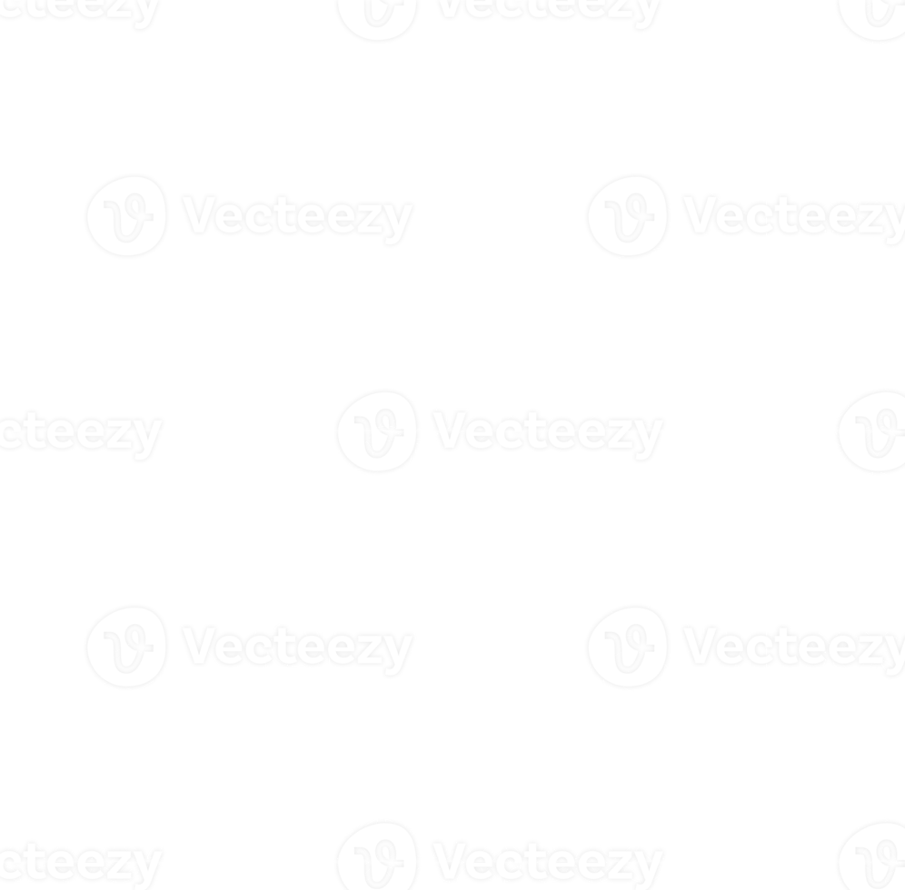 Lace elements for decoration. png