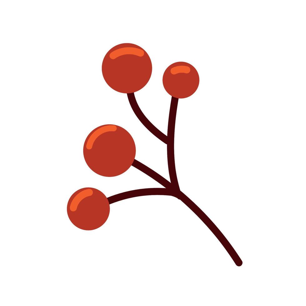 berries fruit branch vector