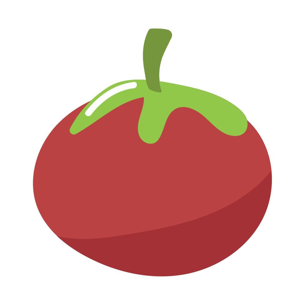 tomato vegetable icon vector