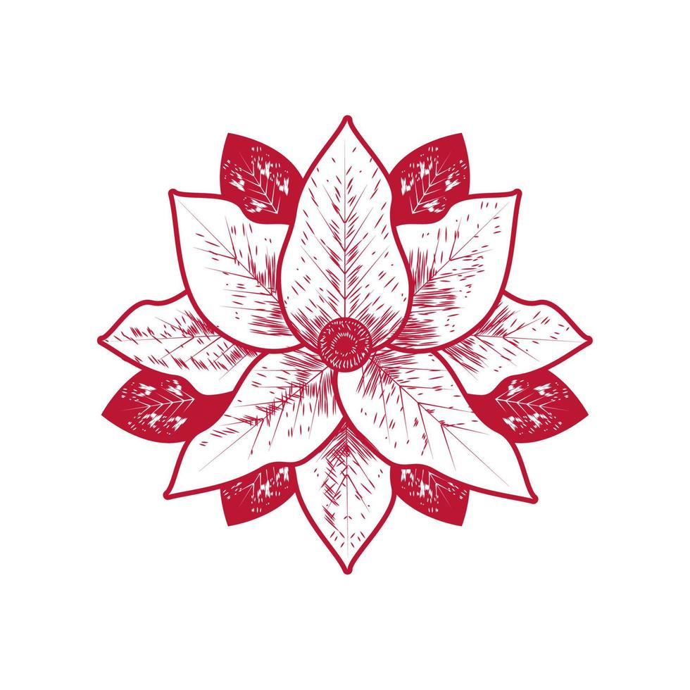 flower poinsettia icon vector