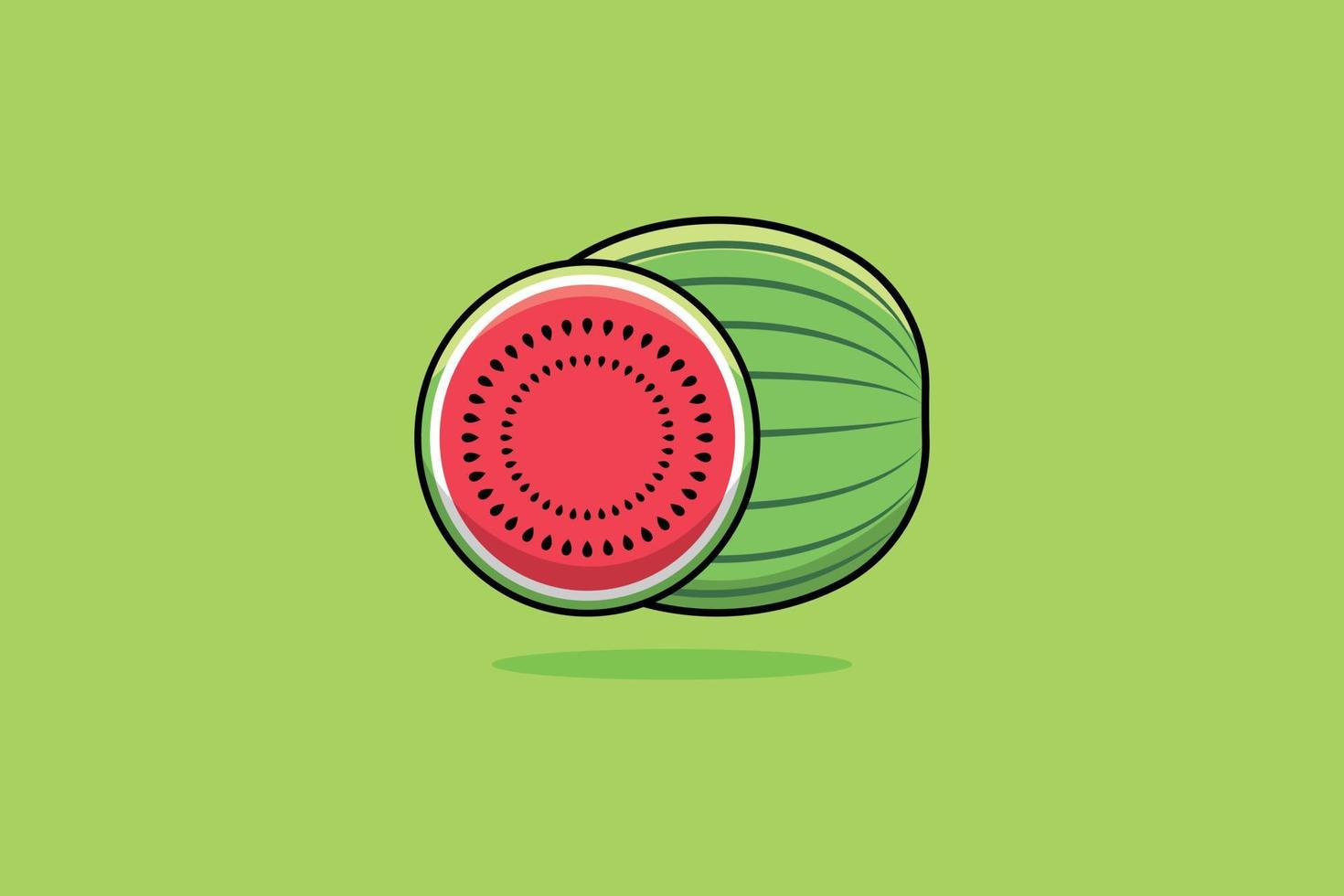 Water Melon fruit vector icon illustration. Watermelon and slice of watermelon. Fruit icon design concept. Fresh fruit, Healthy food, Health protection, Natural fruits, Body freshness, Organic food.