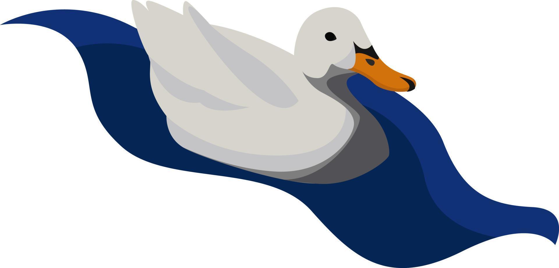 White duck in water, illustration, vector on white background