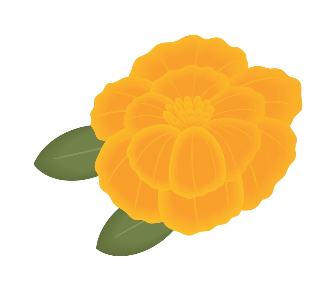 flower and leaf vector