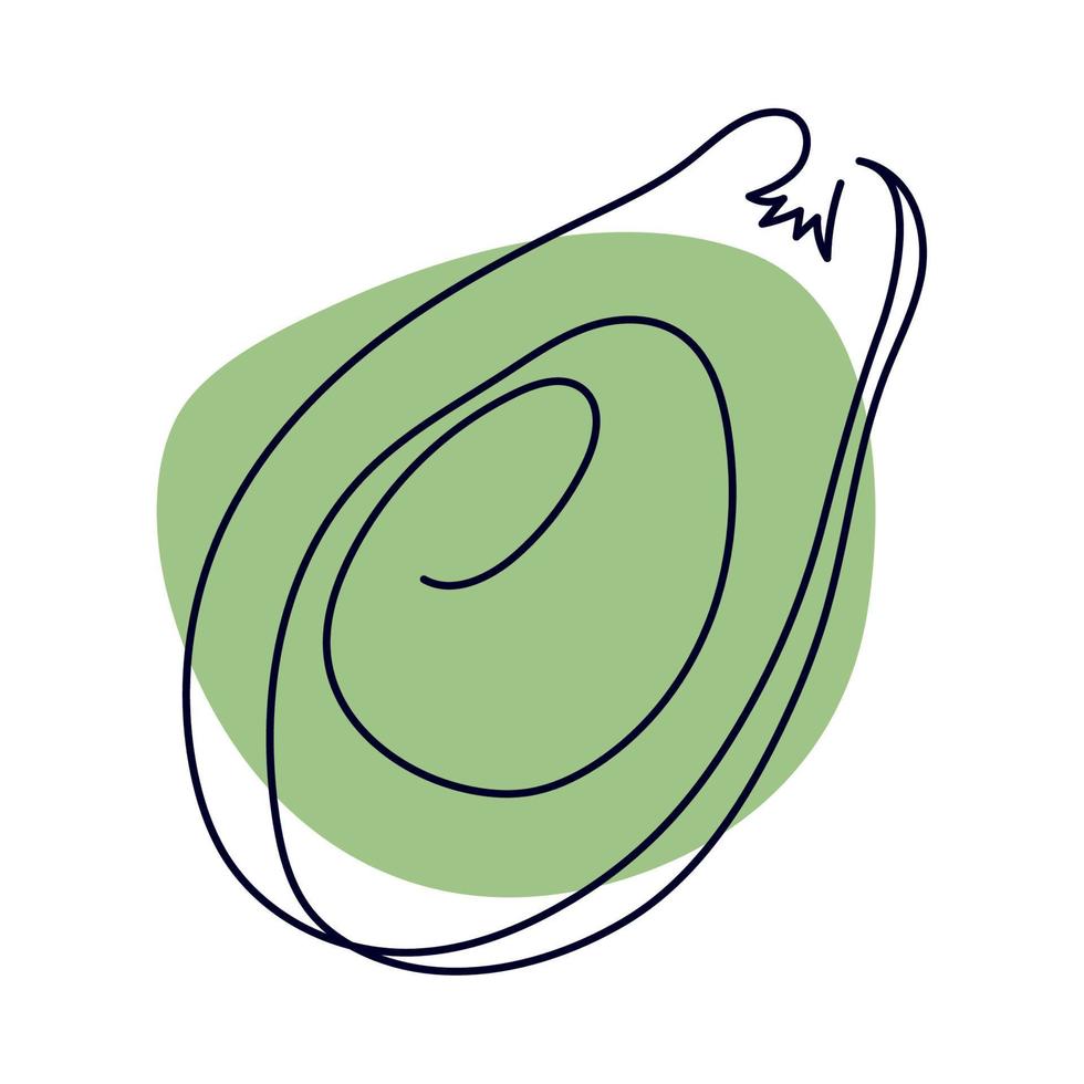 avocado line drawing vector